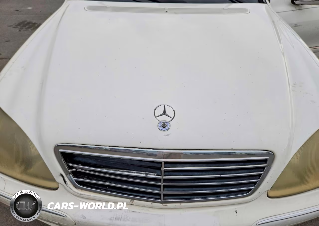 2002 Mercedes-Benz S 500 VIN:WDBNG75J02A262804 - 11