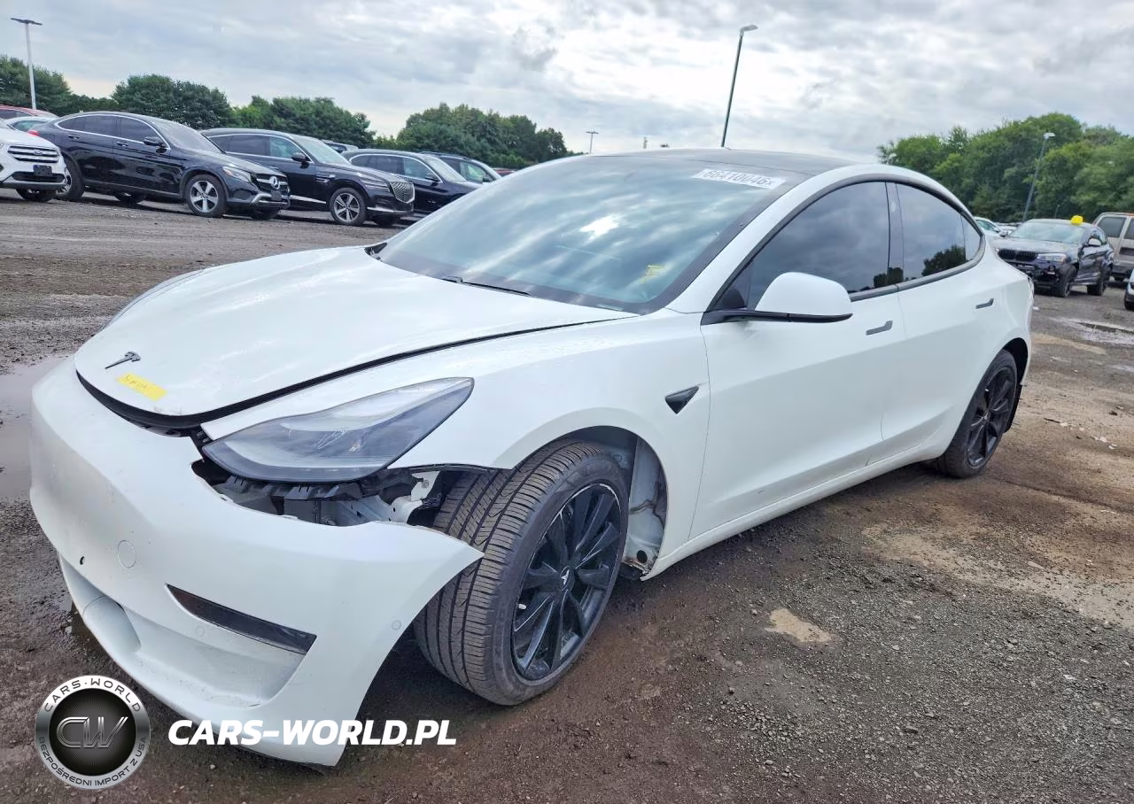 2021 Tesla Model 3 VIN:5YJ3E1EA3MF043812 - 1