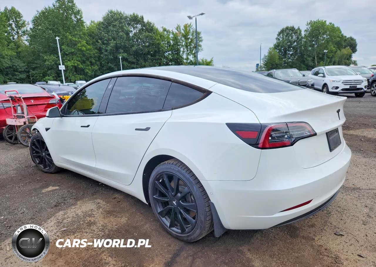 2021 Tesla Model 3 VIN:5YJ3E1EA3MF043812 - 2
