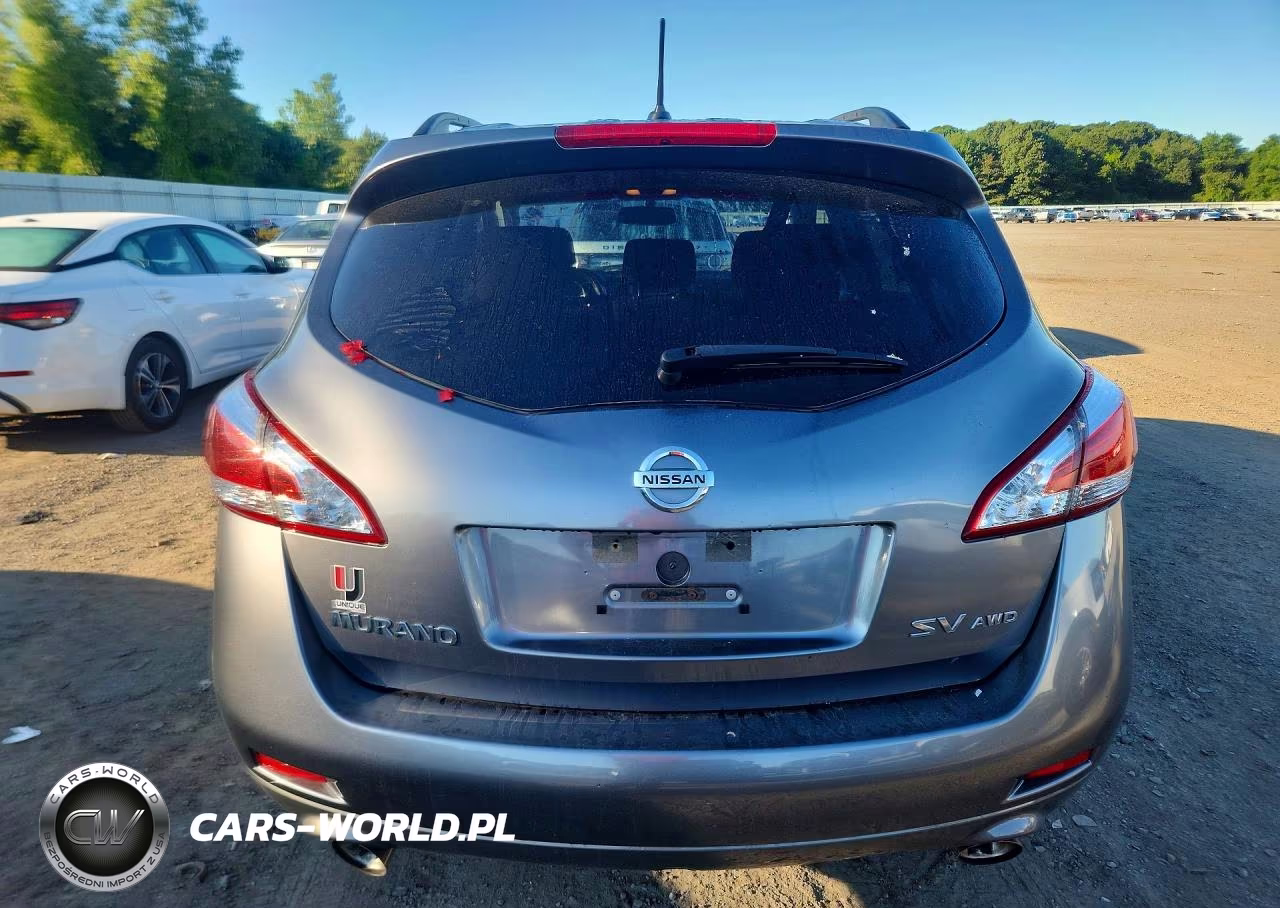 2013 Nissan Murano S VIN:JN8AZ1MW7DW311074 - 6