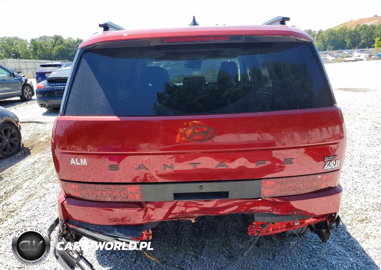 2025 Hyundai Santa Fe Xrt VIN:5NMP3DGL6SH122345 - 6