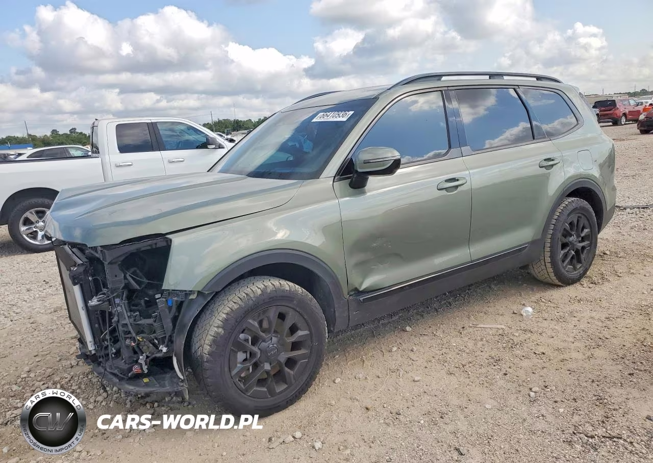 2025 Kia Telluride Sx-Prestige X-Pro VIN:5XYP5DGC5SG644064 - 1