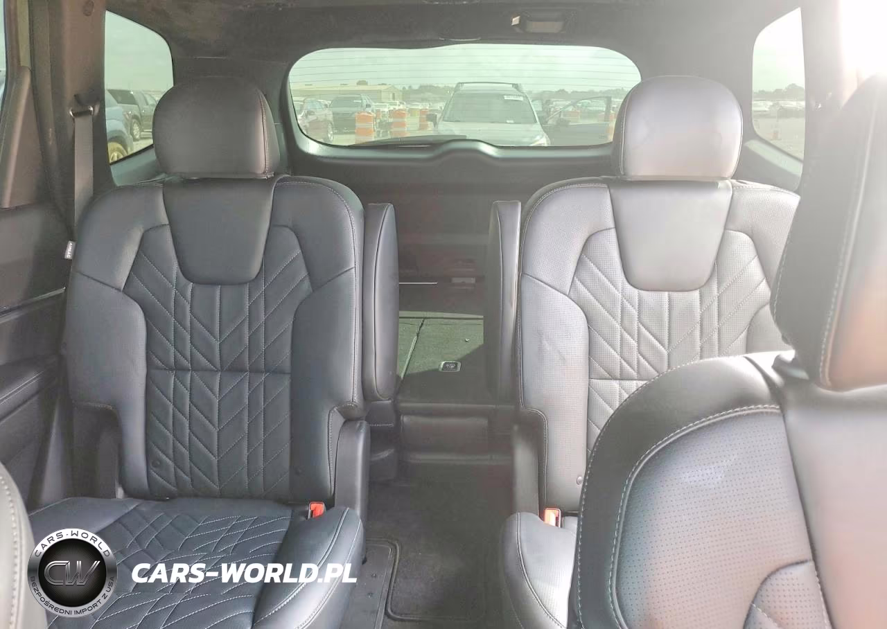 2025 Kia Telluride Sx-Prestige X-Pro VIN:5XYP5DGC5SG644064 - 10