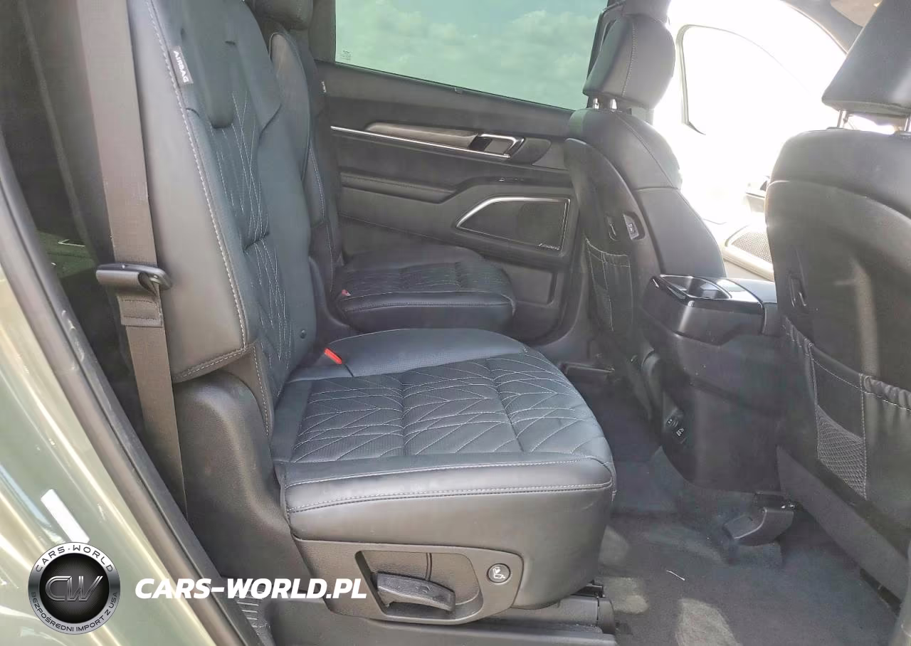 2025 Kia Telluride Sx-Prestige X-Pro VIN:5XYP5DGC5SG644064 - 11