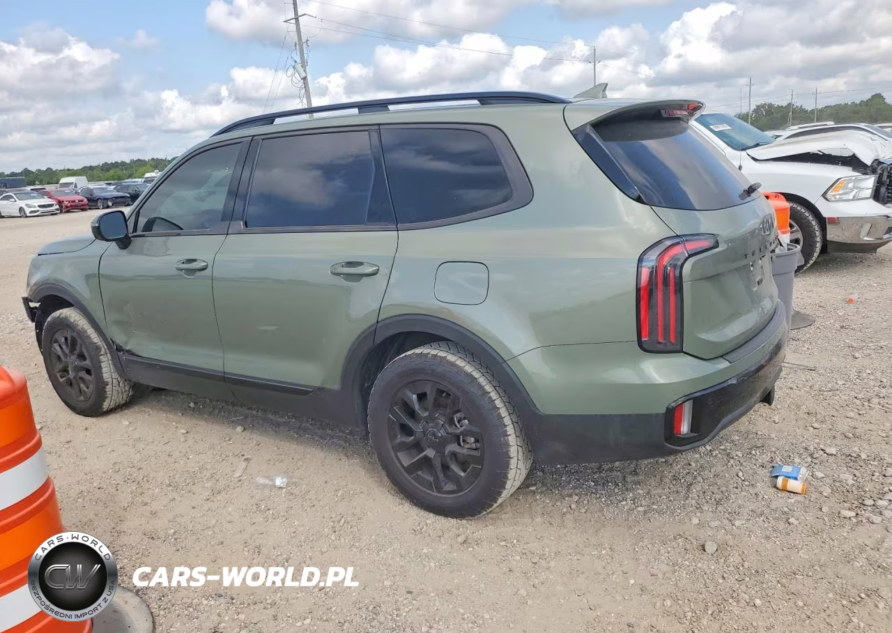 2025 Kia Telluride Sx-Prestige X-Pro VIN:5XYP5DGC5SG644064 - 2