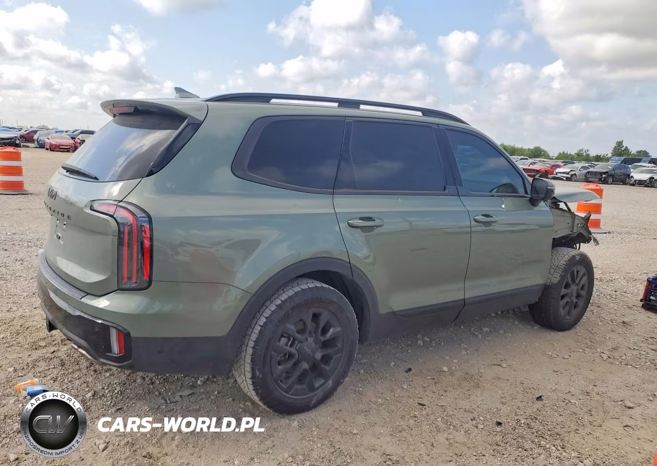 2025 Kia Telluride Sx-Prestige X-Pro VIN:5XYP5DGC5SG644064 - 3