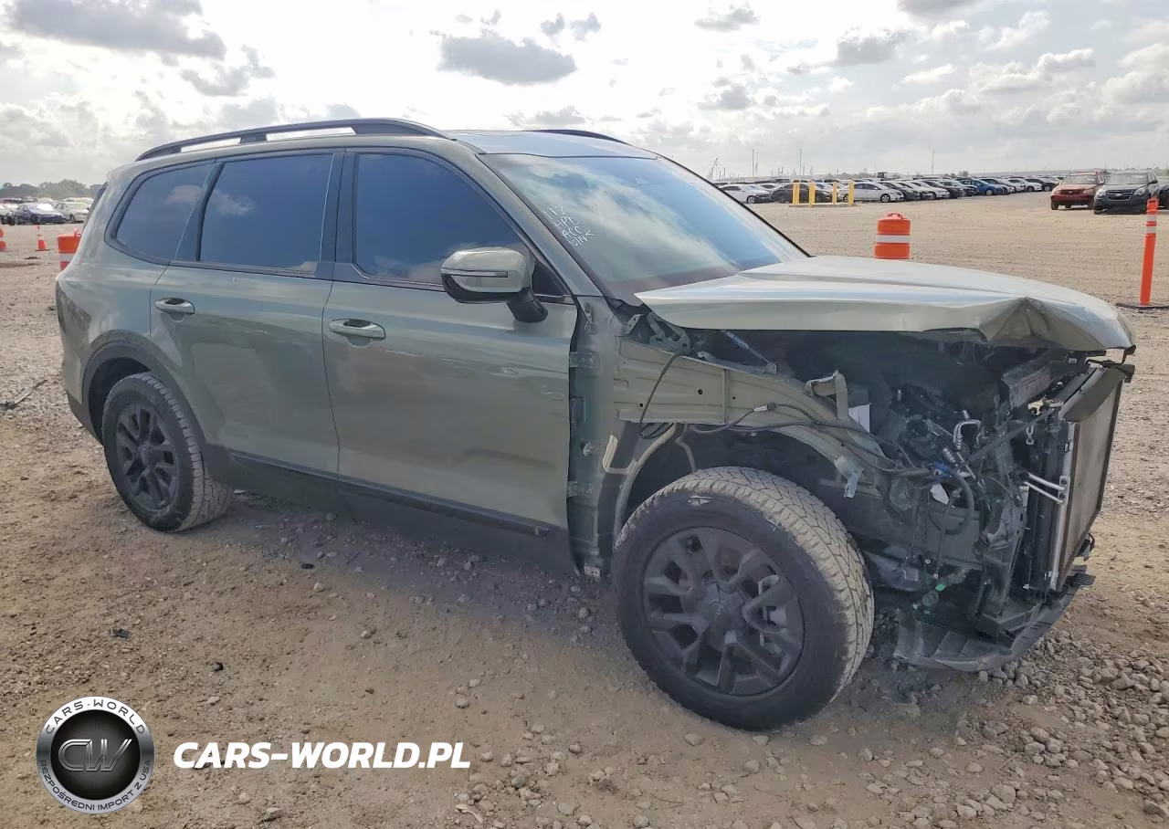 2025 Kia Telluride Sx-Prestige X-Pro VIN:5XYP5DGC5SG644064 - 4