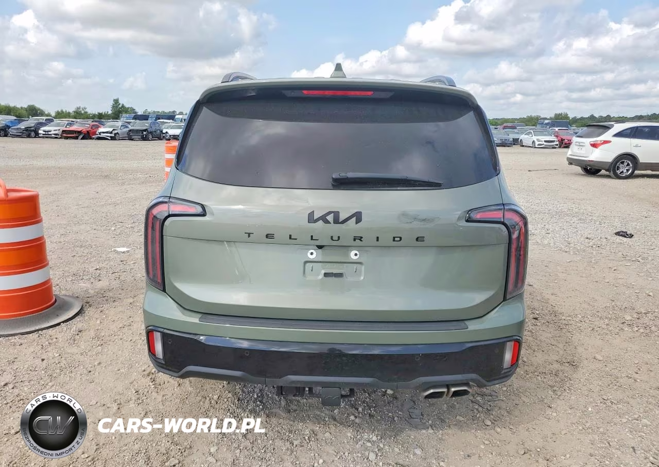 2025 Kia Telluride Sx-Prestige X-Pro VIN:5XYP5DGC5SG644064 - 6