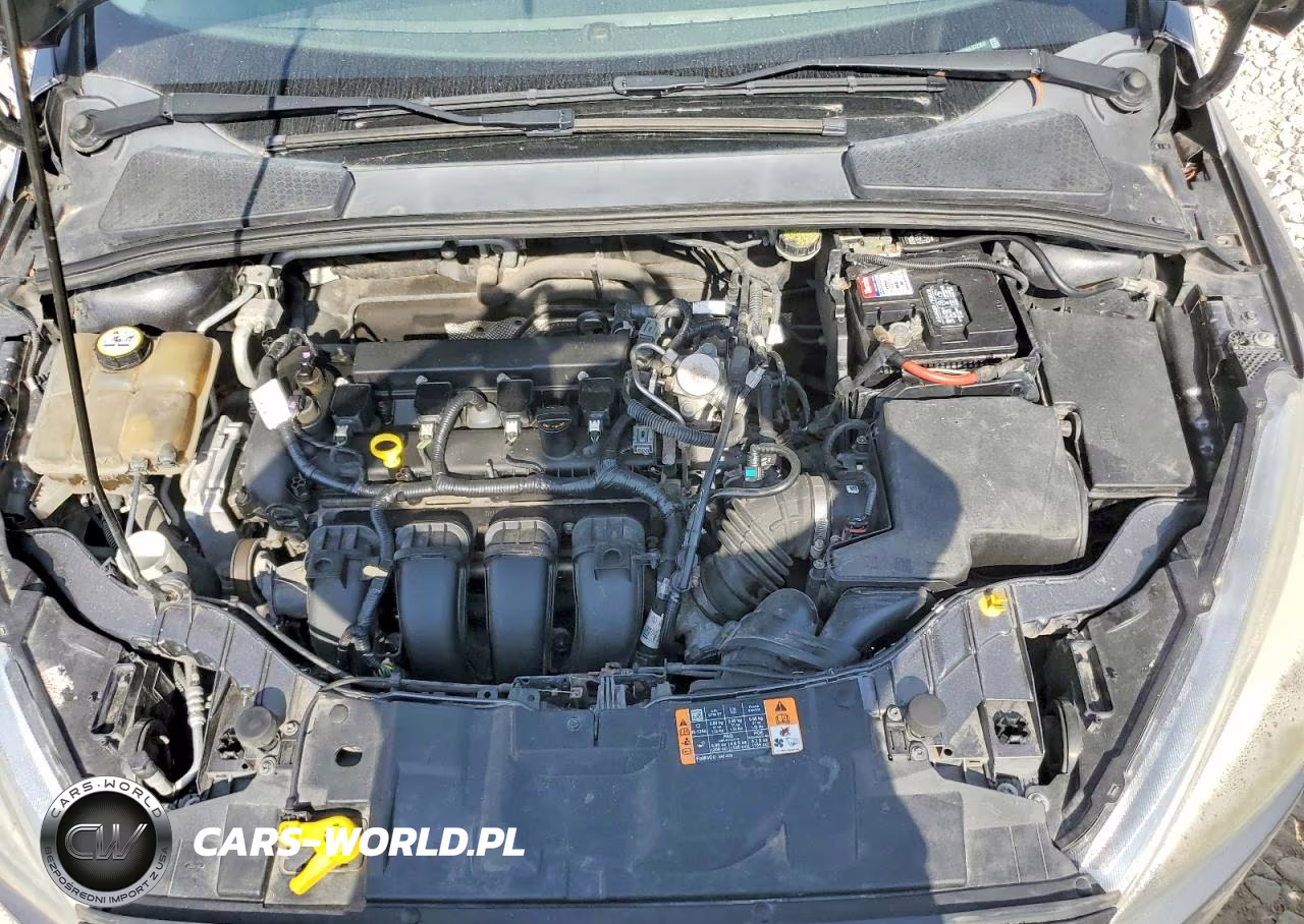 2016 Ford Focus Se VIN:1FADP3F25GL372357 - 12