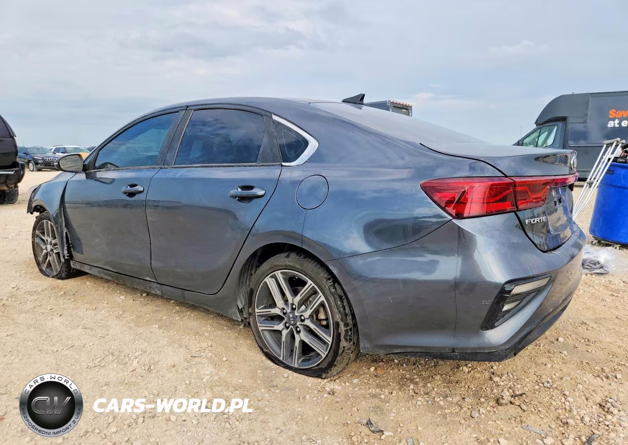 2019 Kia Forte Ex VIN:3KPF54AD4KE021562 - 2
