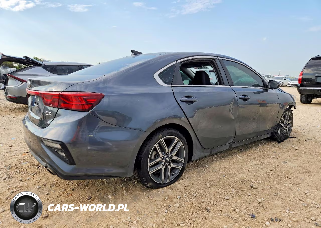 2019 Kia Forte Ex VIN:3KPF54AD4KE021562 - 3