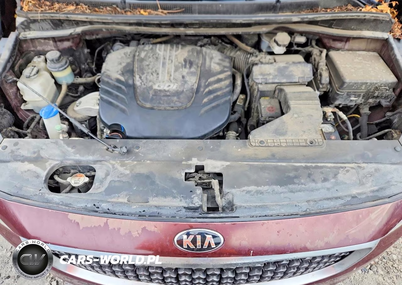 2016 Kia Sedona Lx VIN:KNDMB5C10G6211588 - 11