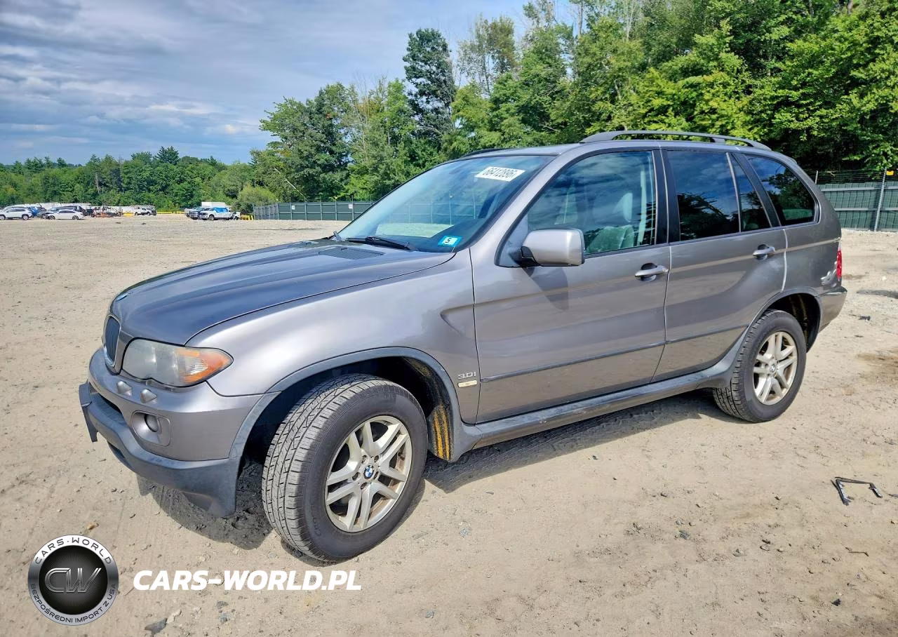 2005 BMW X5 3.0I VIN:5UXFA135X5LU48643 - 1