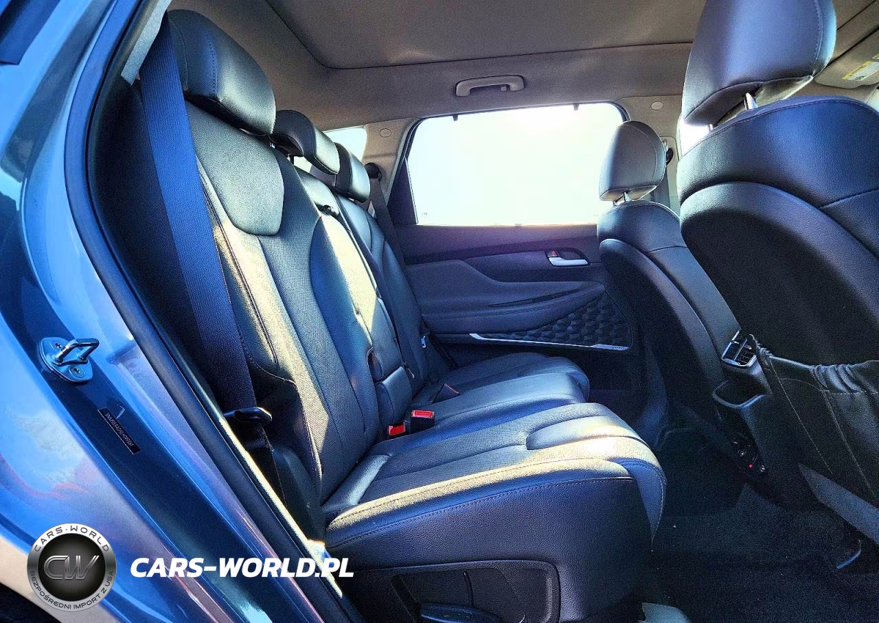 2020 Hyundai Santa Fe Limited VIN:5NMS53AD5LH149361 - 11