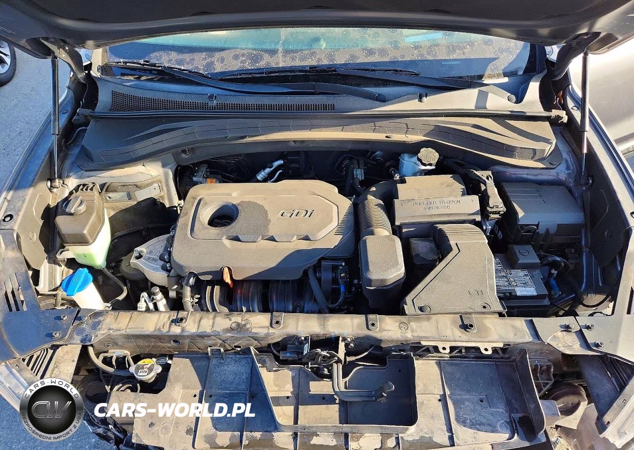 2020 Hyundai Santa Fe Limited VIN:5NMS53AD5LH149361 - 12
