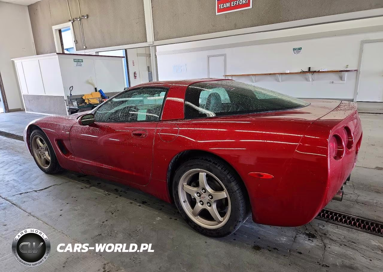 2004 Chevrolet Corvette VIN:1G1YY22G045112056 - 2