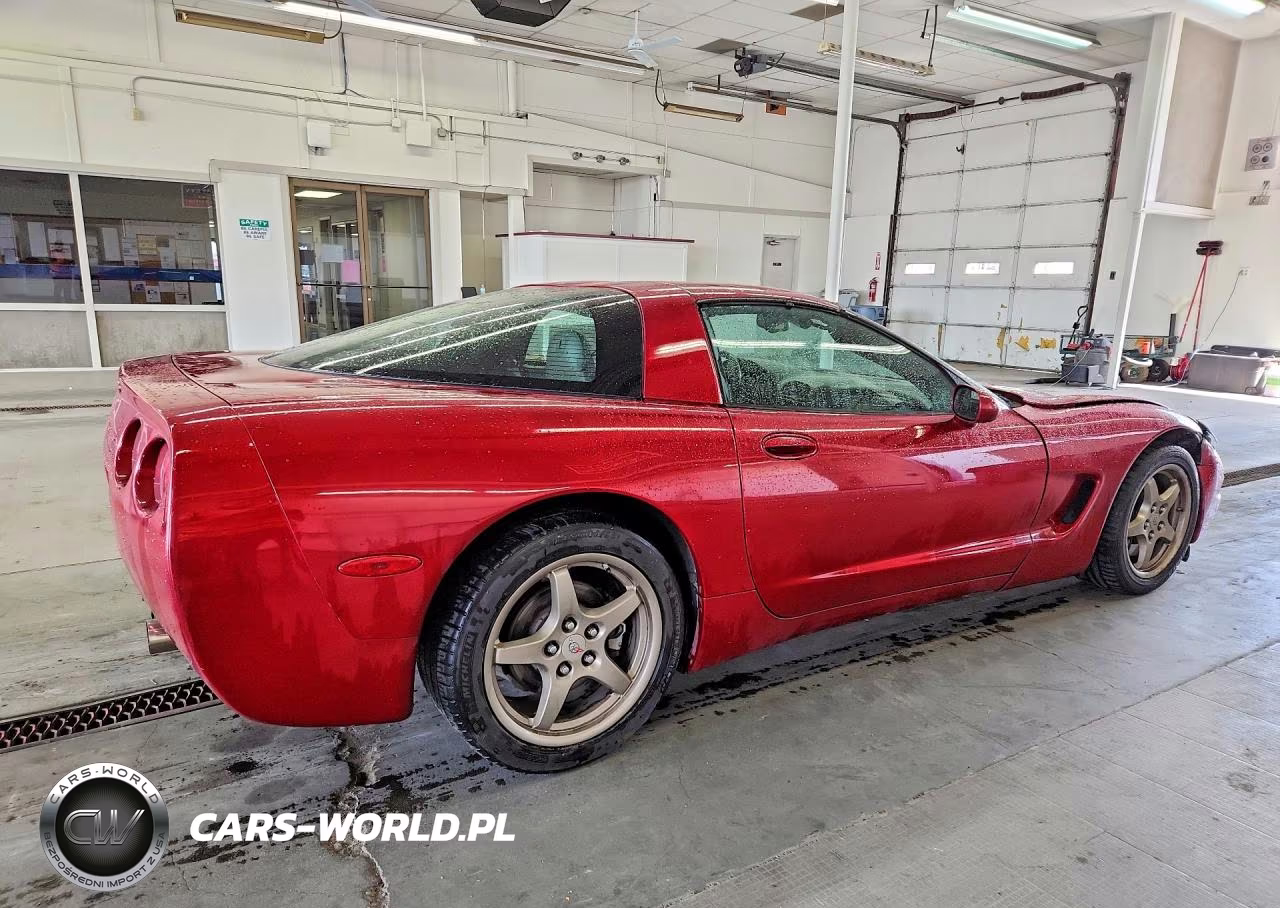 2004 Chevrolet Corvette VIN:1G1YY22G045112056 - 3