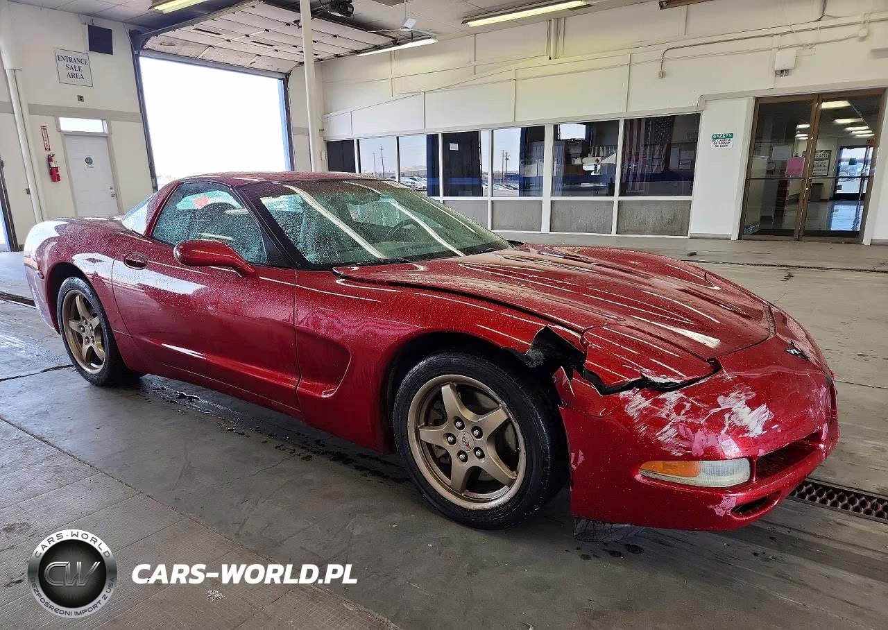 2004 Chevrolet Corvette VIN:1G1YY22G045112056 - 4
