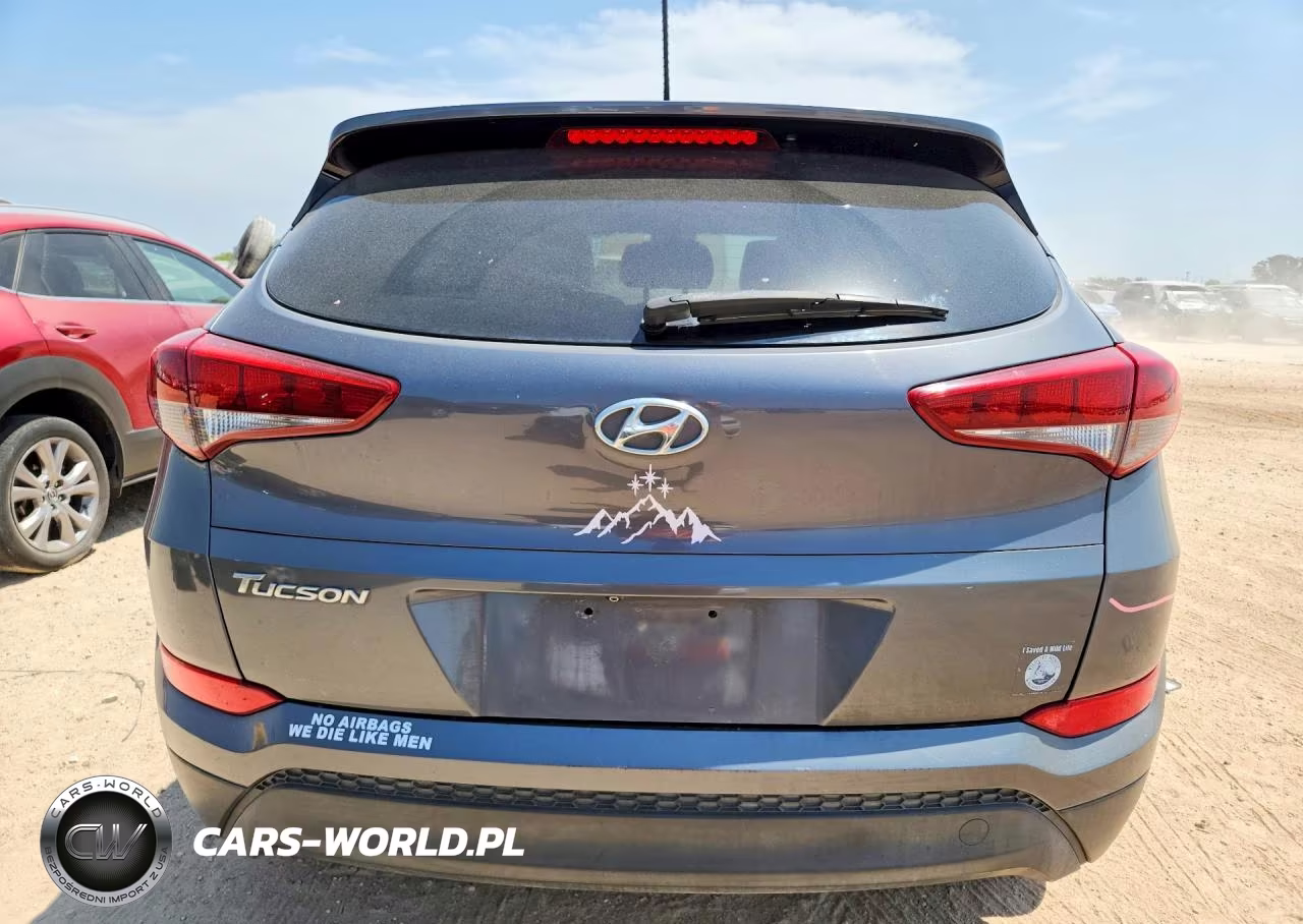 2016 Hyundai Tucson Se VIN:KM8J33A49GU180995 - 6