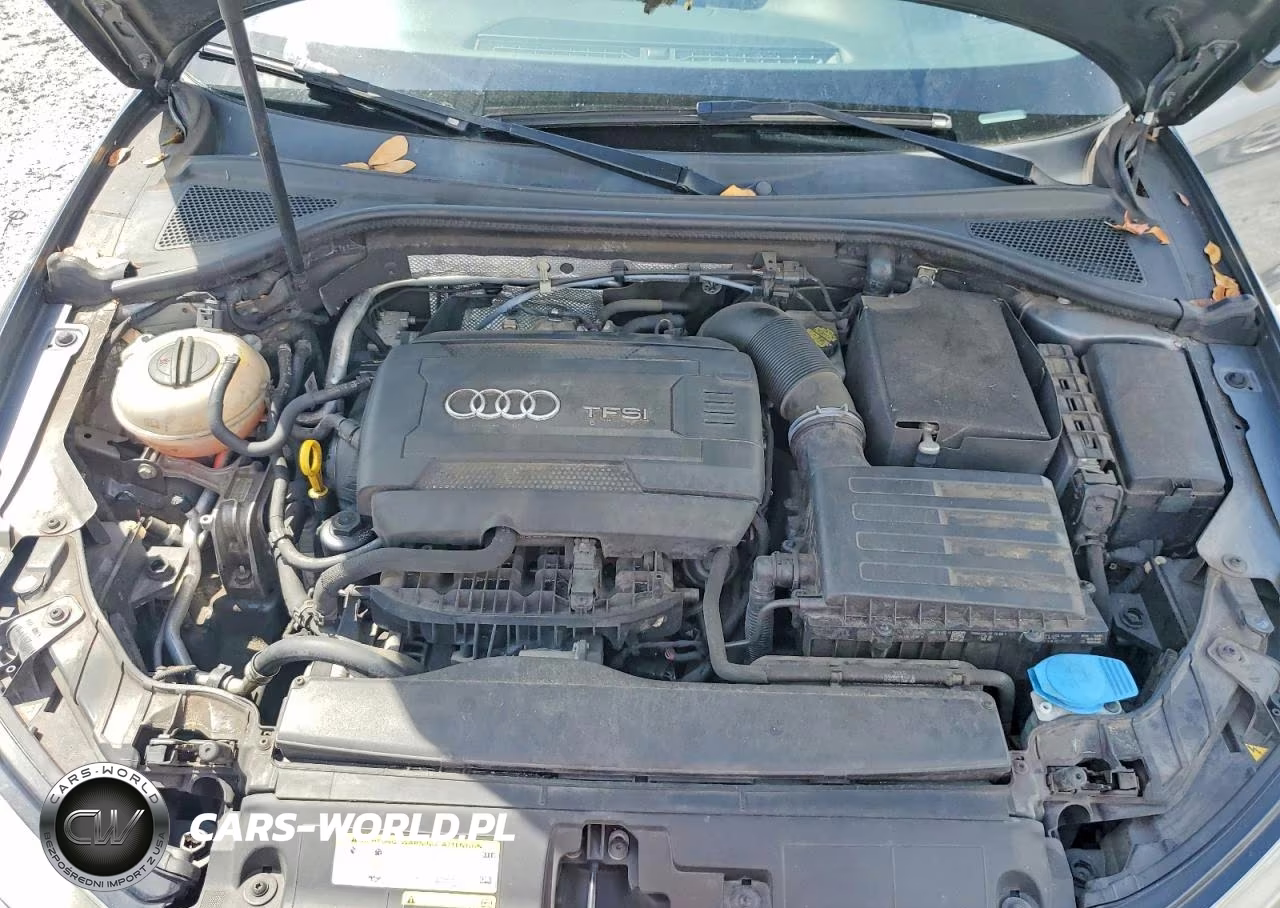 2016 Audi A3 Premium VIN:WAUA7GFF7G1034118 - 11