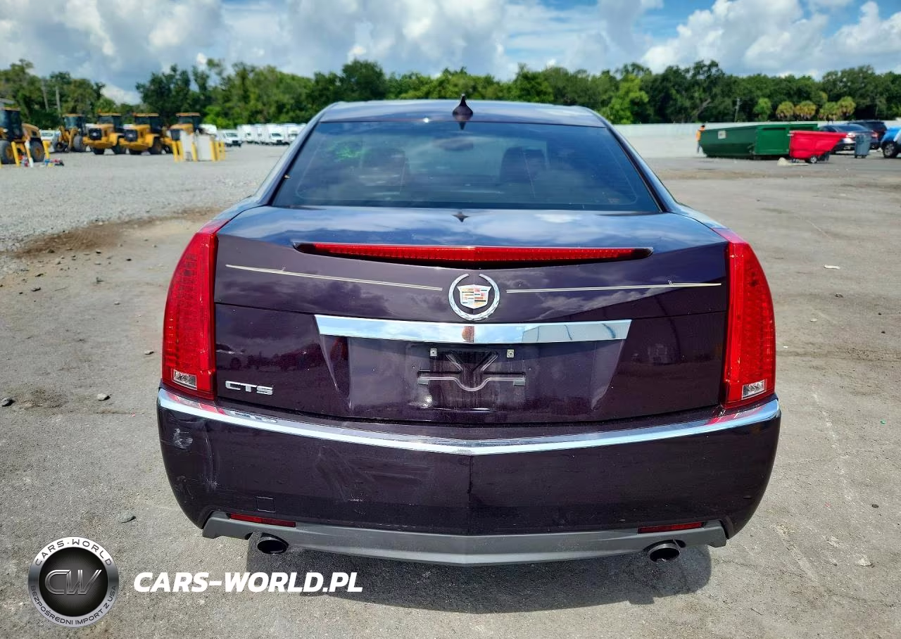 2010 Cadillac Cts Luxury Collection VIN:1G6DE5EG7A0130383 - 6