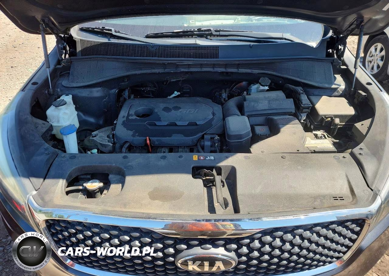 2017 Kia Sorento Lx VIN:5XYPG4A35HG280353 - 12
