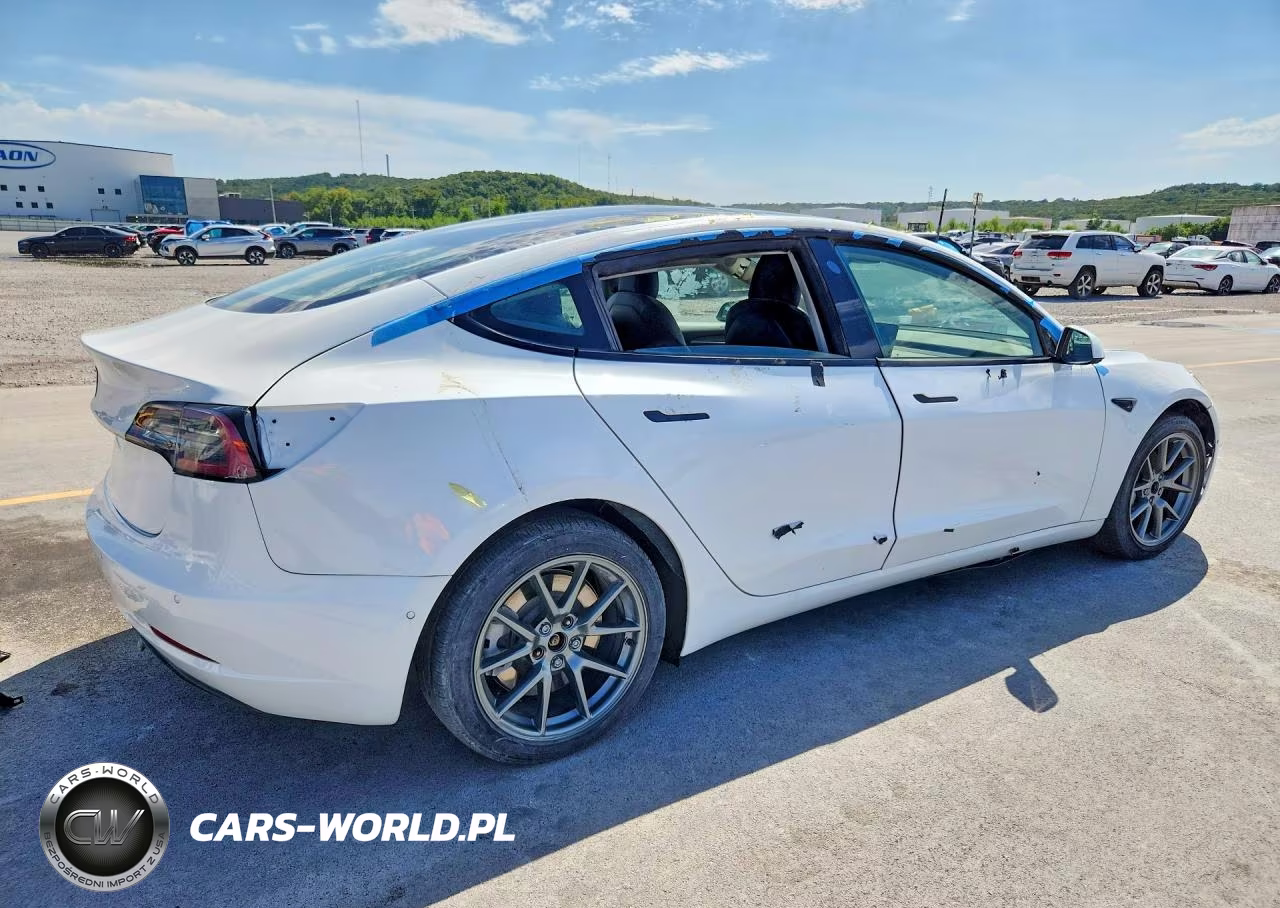 2021 Tesla Model 3 VIN:5YJ3E1EA0MF093194 - 3