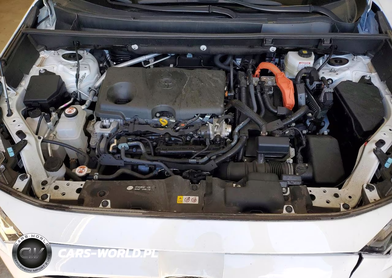 2025 Toyota Rav4 Hybrid Xle VIN:4T3RWRFV7SU172585 - 12
