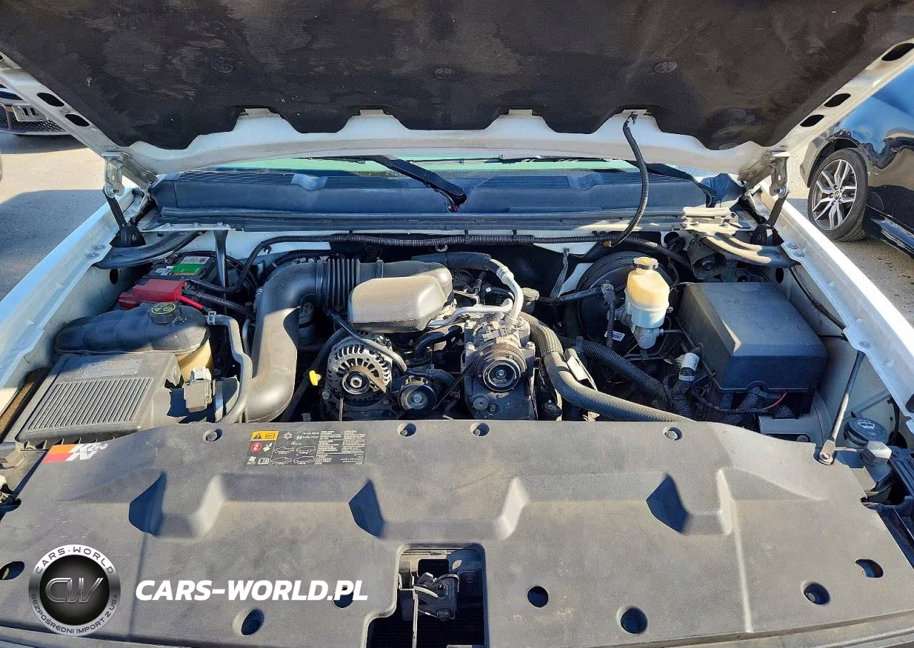 2013 Chevrolet Silverado C1500 VIN:1GCNCPEX1DZ331943 - 11