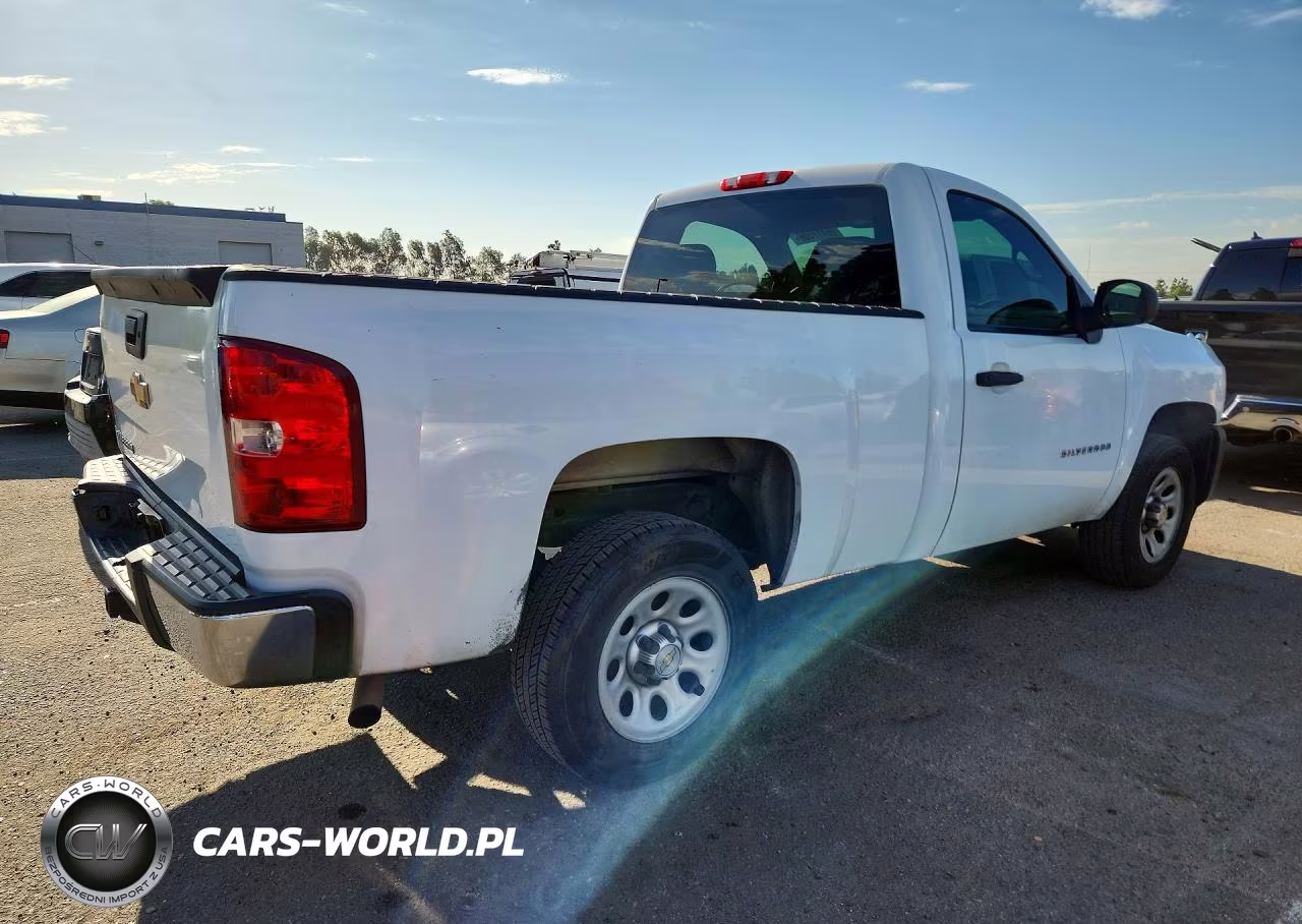 2013 Chevrolet Silverado C1500 VIN:1GCNCPEX1DZ331943 - 3