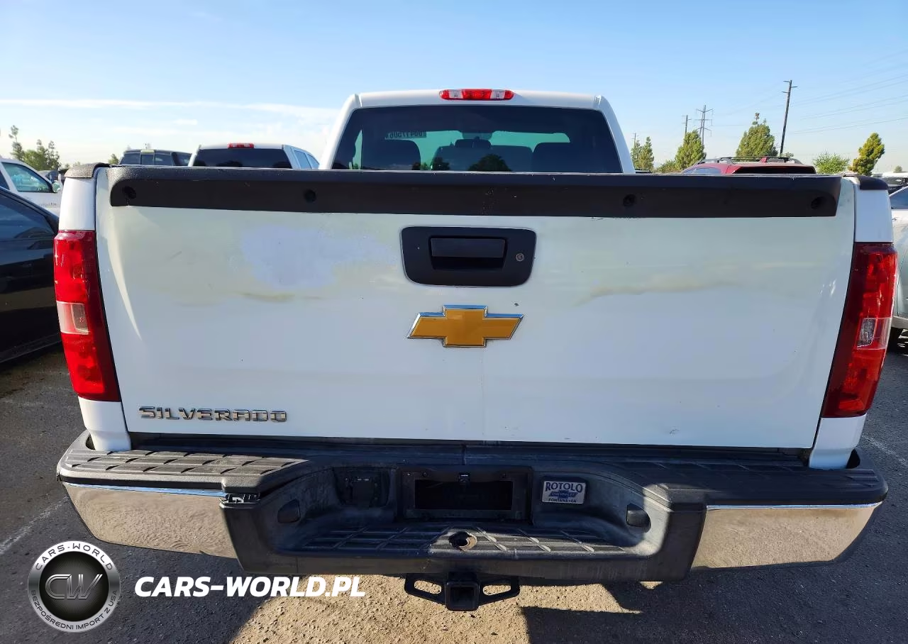 2013 Chevrolet Silverado C1500 VIN:1GCNCPEX1DZ331943 - 6