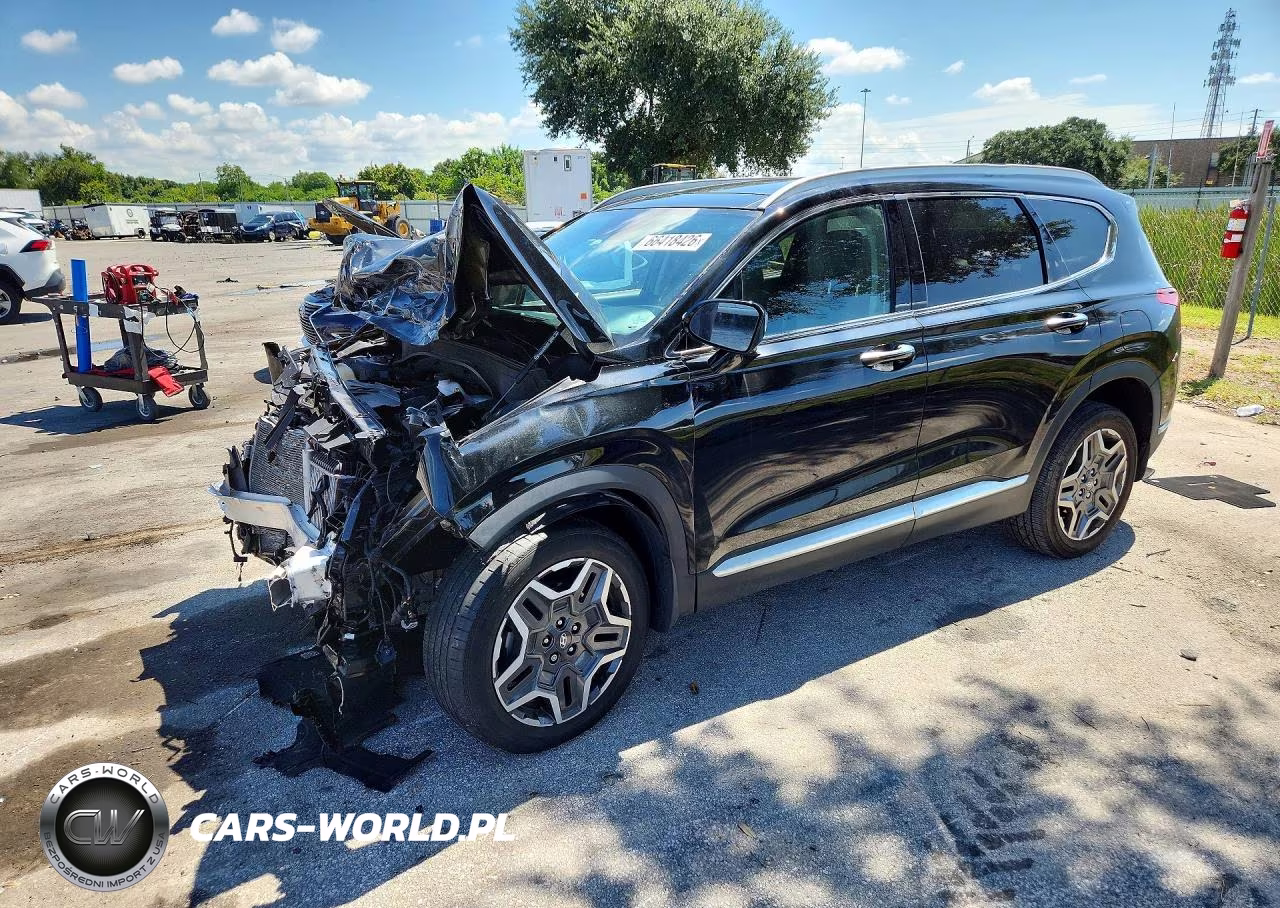 2023 Hyundai Santa Fe Limited VIN:5NMS44AL0PH505494 - 1