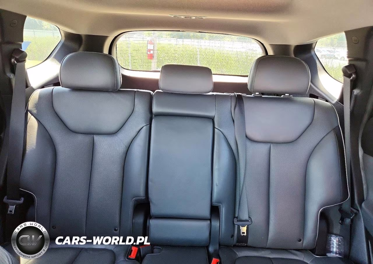 2023 Hyundai Santa Fe Limited VIN:5NMS44AL0PH505494 - 10