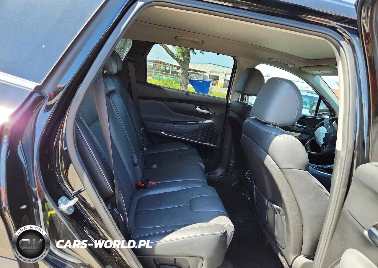 2023 Hyundai Santa Fe Limited VIN:5NMS44AL0PH505494 - 11