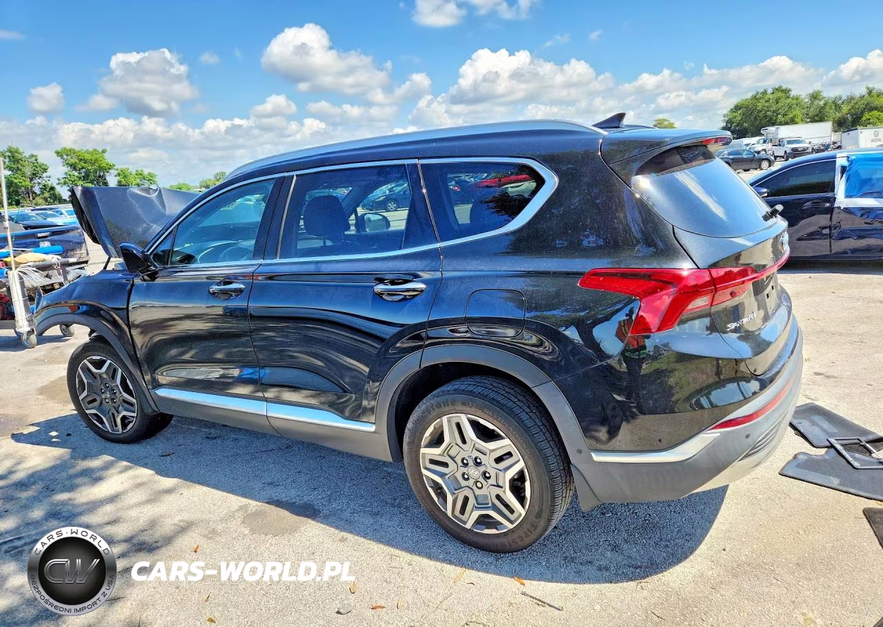 2023 Hyundai Santa Fe Limited VIN:5NMS44AL0PH505494 - 2