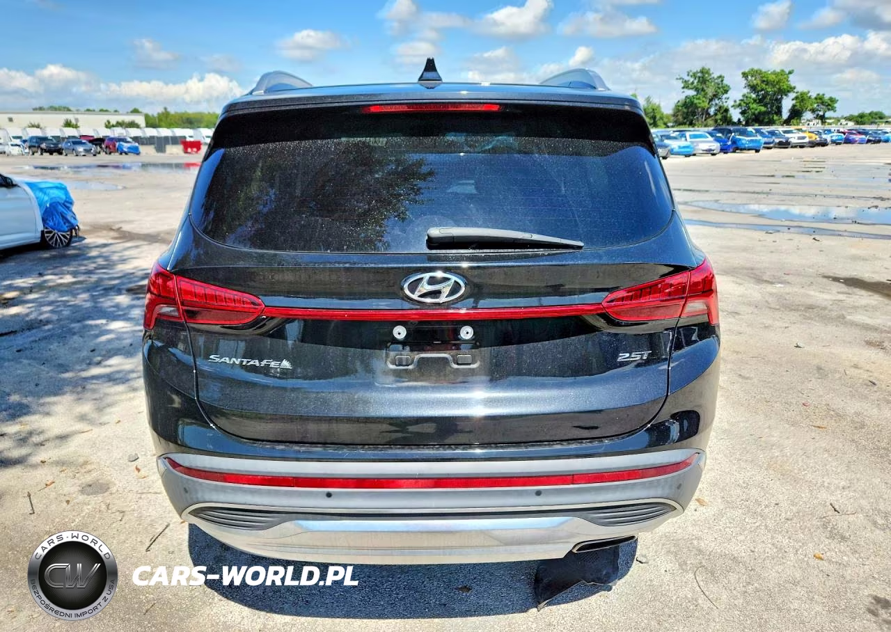 2023 Hyundai Santa Fe Limited VIN:5NMS44AL0PH505494 - 6