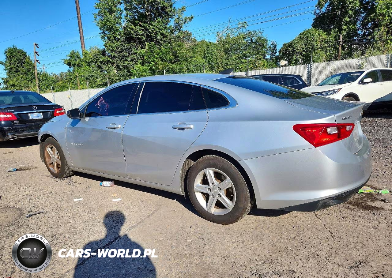 2019 Chevrolet Malibu Ls VIN:1G1ZC5ST0KF209721 - 2