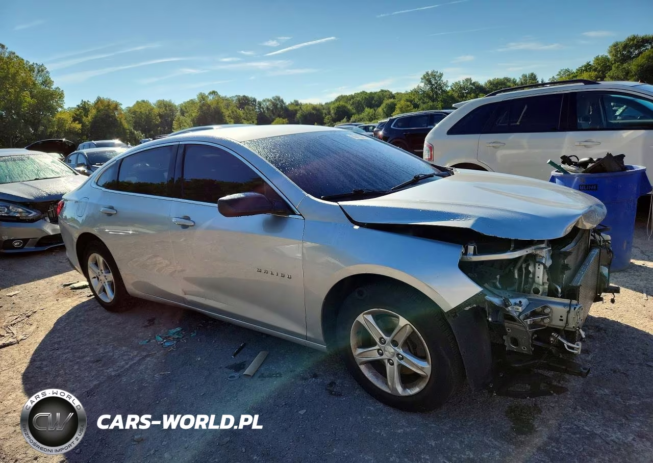 2019 Chevrolet Malibu Ls VIN:1G1ZC5ST0KF209721 - 4