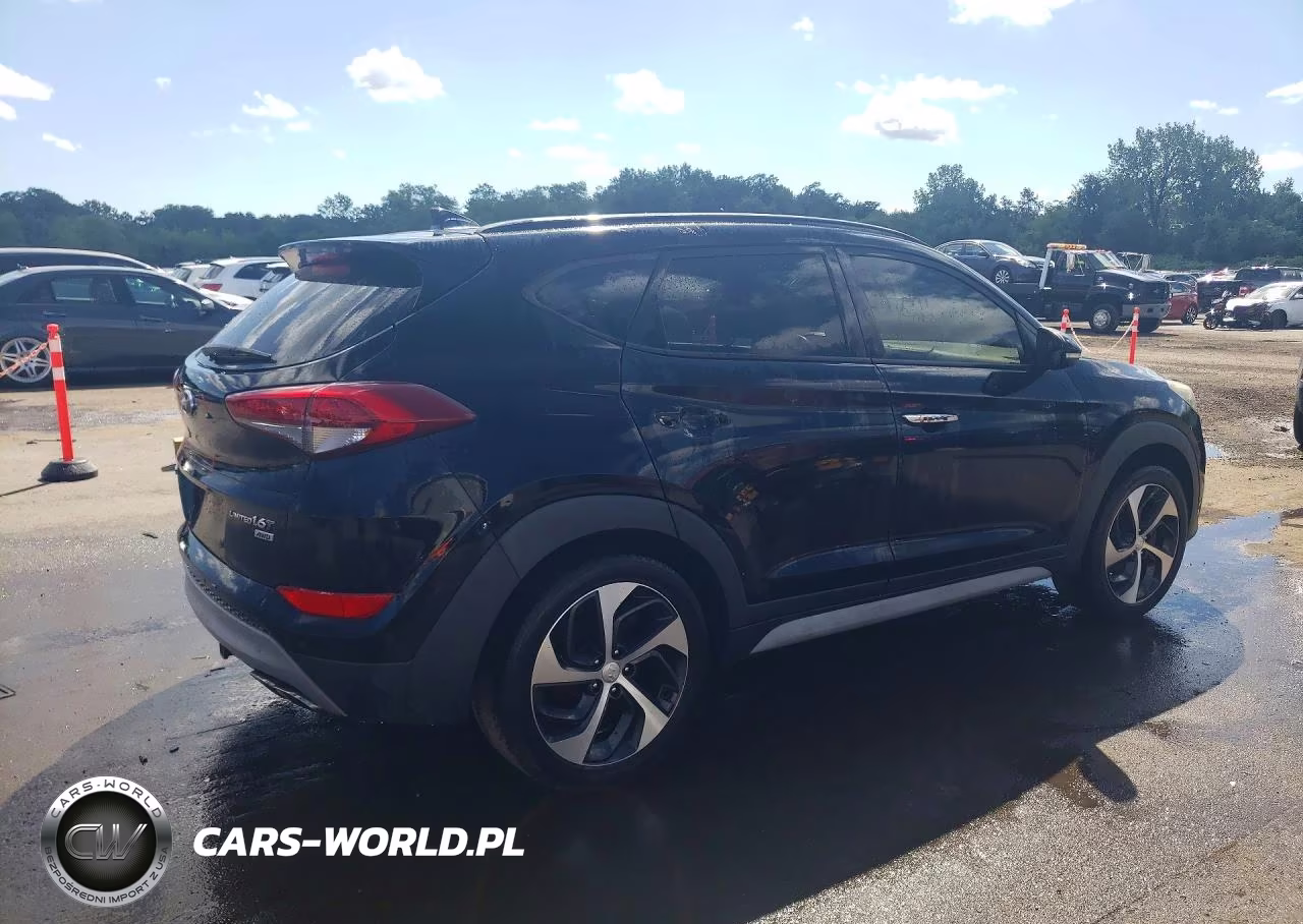 2018 Hyundai Tucson Limited VIN:KM8J3CA2XJU614296 - 3