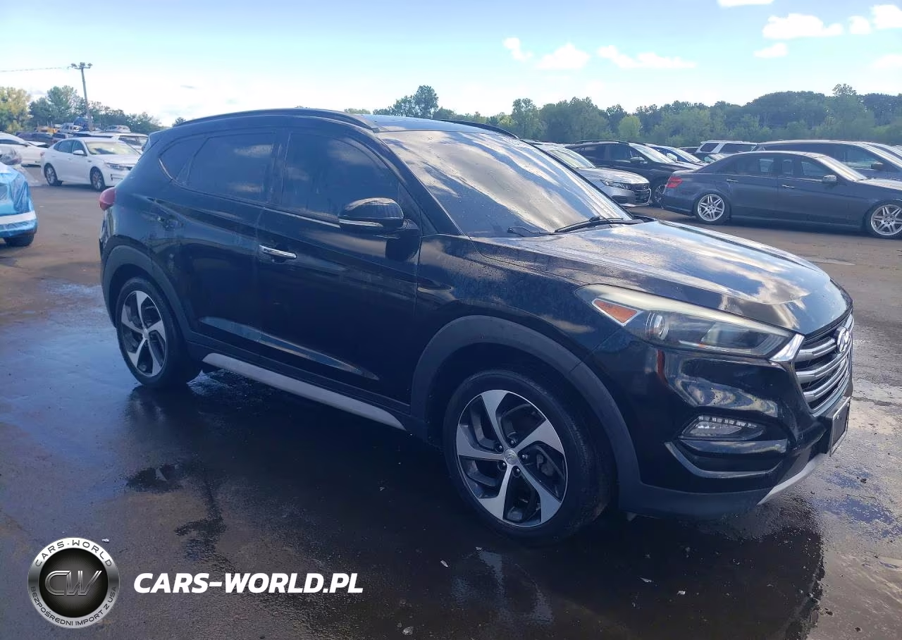 2018 Hyundai Tucson Limited VIN:KM8J3CA2XJU614296 - 4