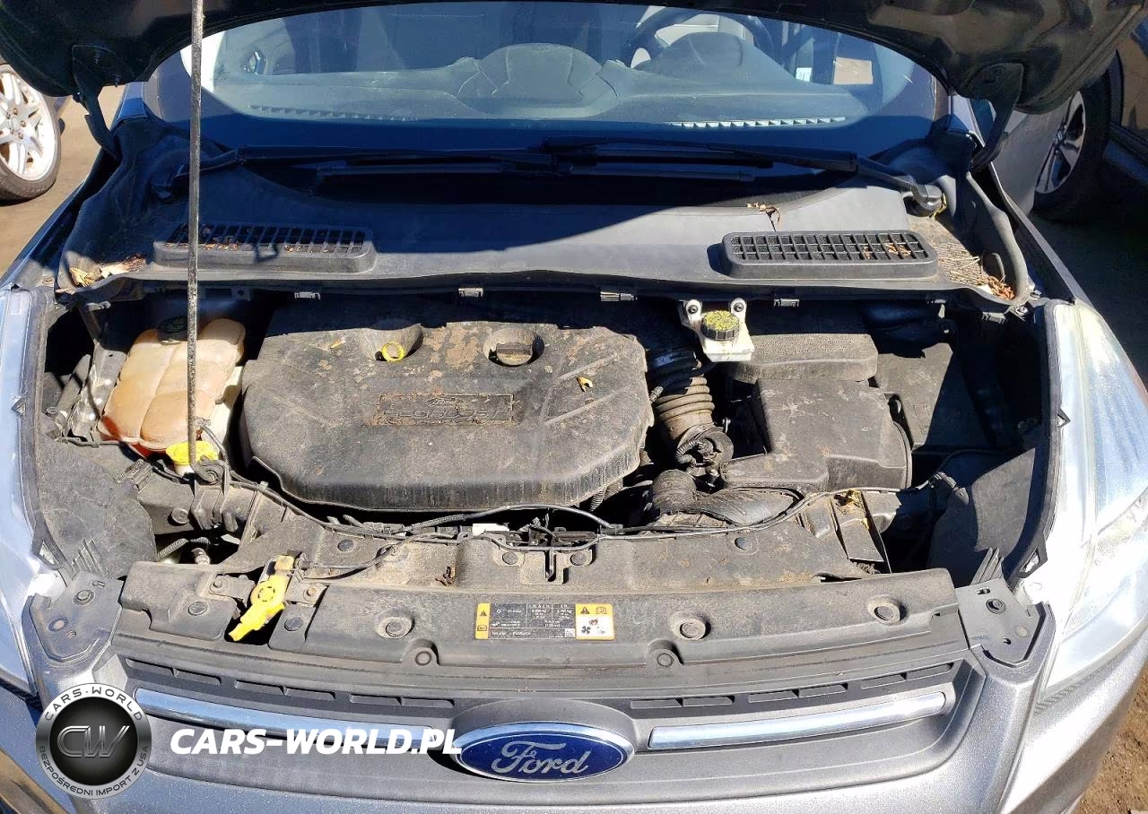 2014 Ford Escape Se VIN:1FMCU9G97EUC72227 - 13
