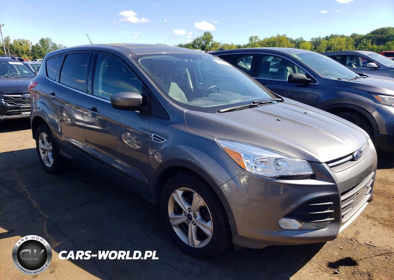 2014 Ford Escape Se VIN:1FMCU9G97EUC72227 - 4