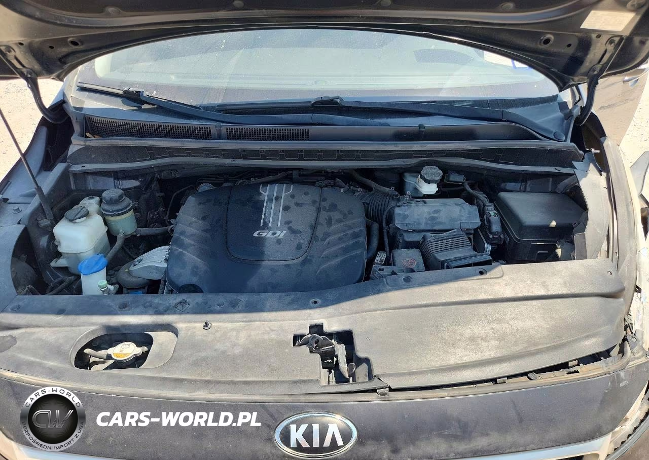 2016 Kia Sedona Lx VIN:KNDMB5C12G6196110 - 12