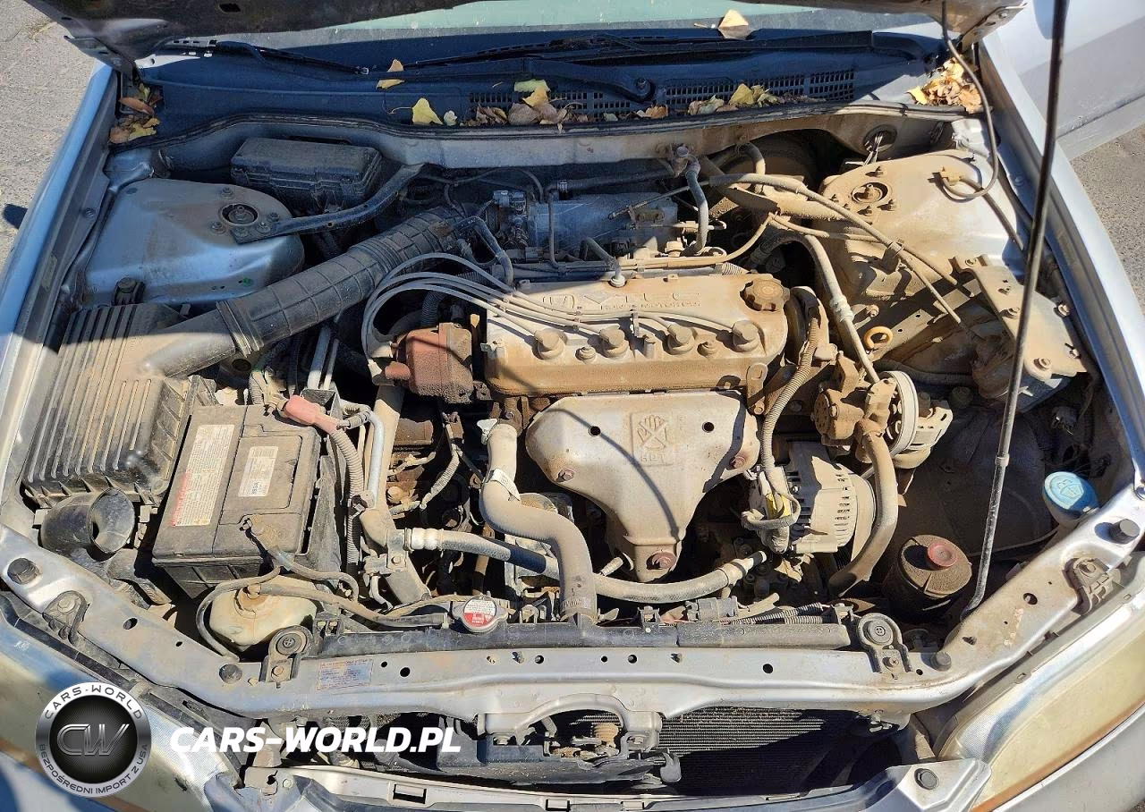 1999 Honda Accord Lx VIN:JHMCG564XXC035992 - 11