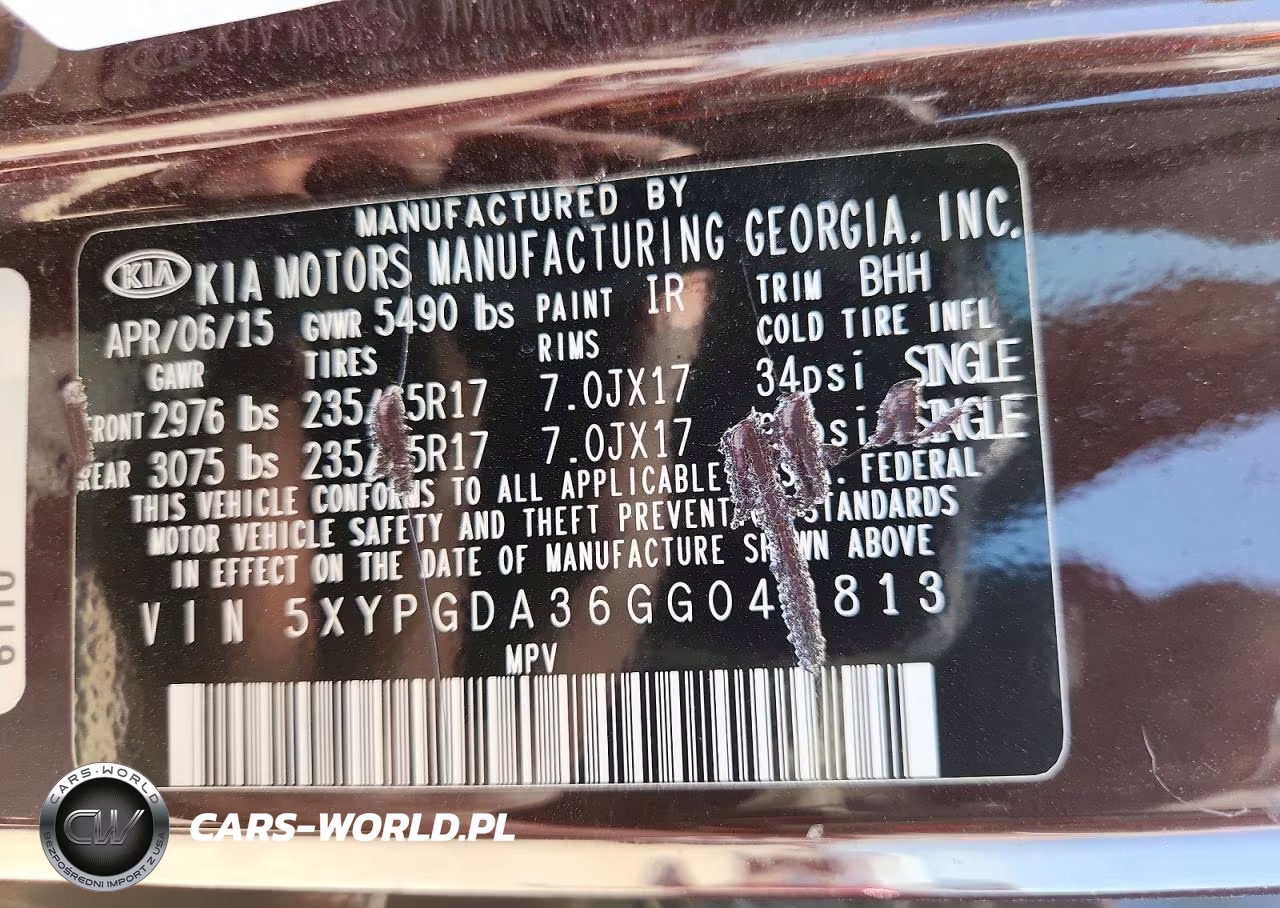 2016 Kia Sorento Lx VIN:5XYPGDA36GG048813 - 13