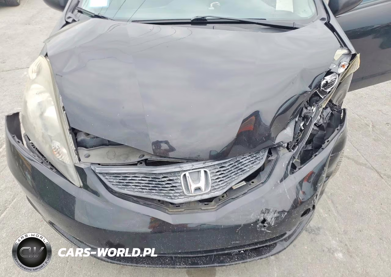 2010 Honda Fit VIN:JHMGE8G29AC018176 - 11