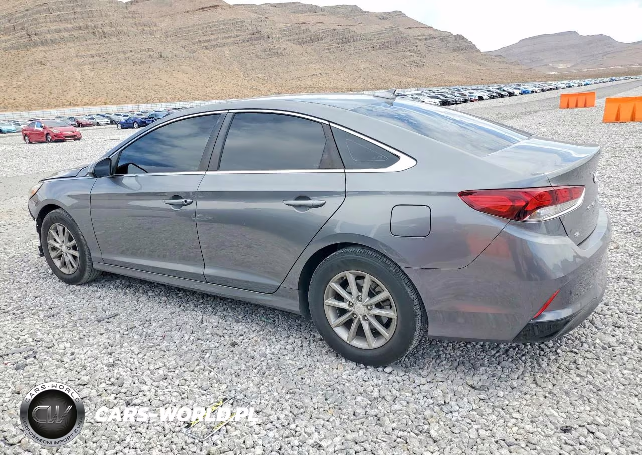 2019 Hyundai Sonata Se VIN:5NPE24AF3KH787879 - 2