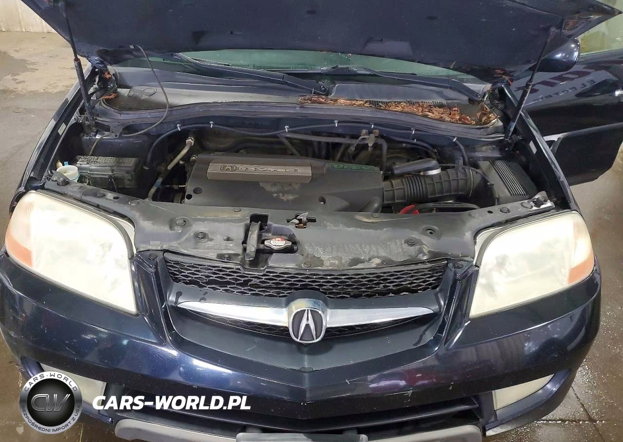 2001 Acura Mdx Touring VIN:2HNYD18631H509769 - 11