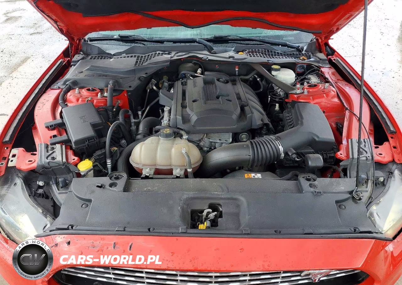 2017 Ford Mustang VIN:1FATP8UH9H5221253 - 11