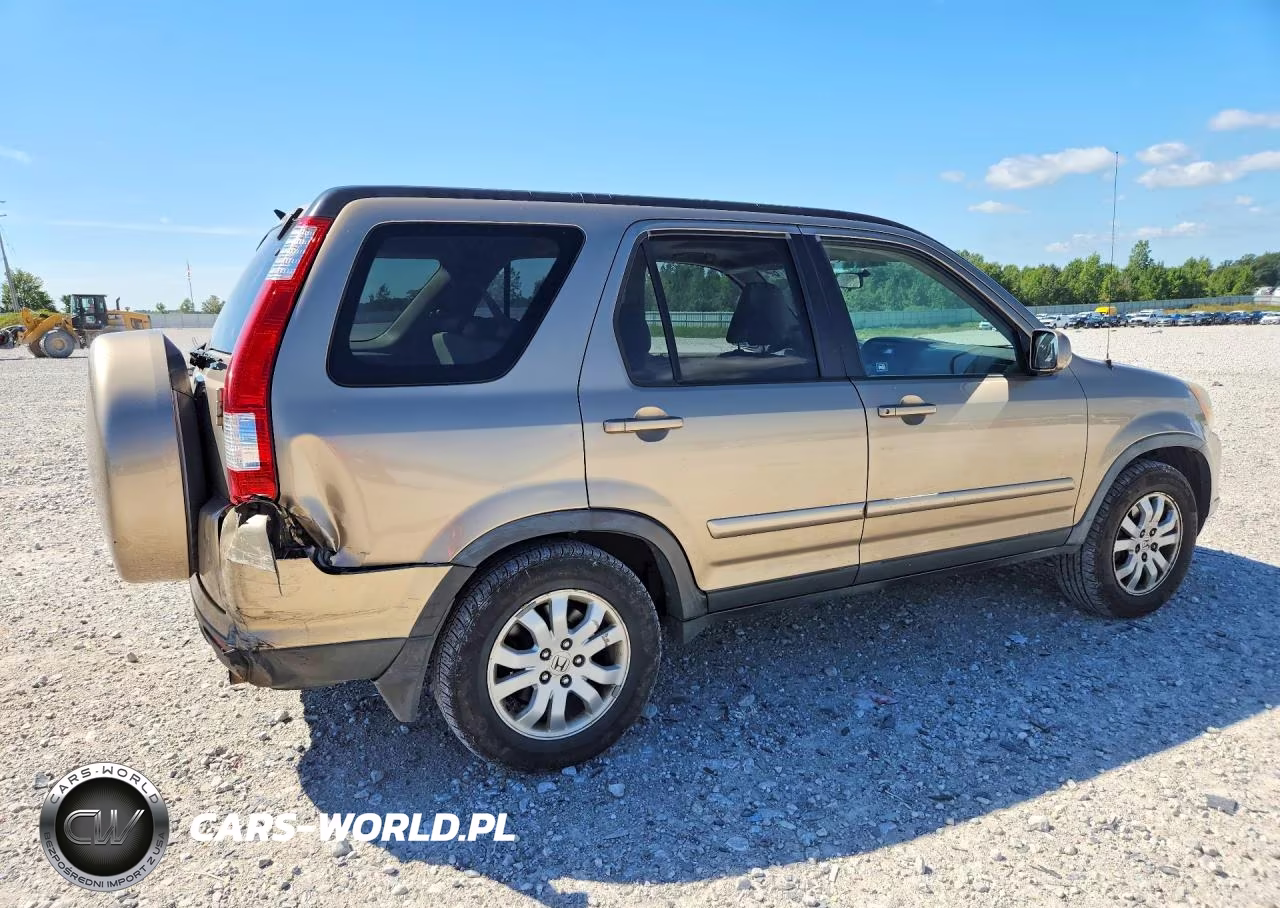 2005 Honda Cr-V Se VIN:JHLRD789X5C020062 - 3